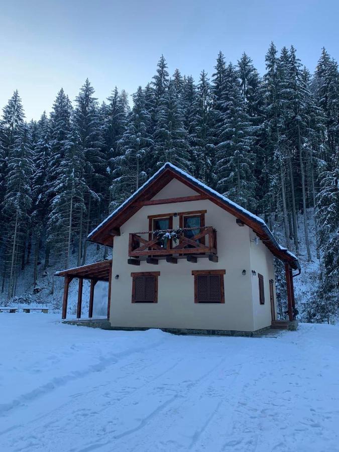 Chata Mosnica Lazisko Bagian luar foto